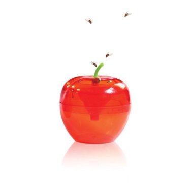Raid® Apple Fruit Fly Trap (2 Pack)
