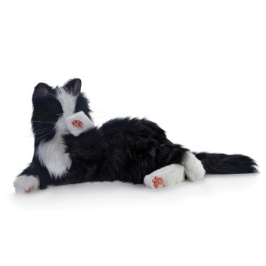 Joy For All® Companion Pet Cat (Black and White Tuxedo)