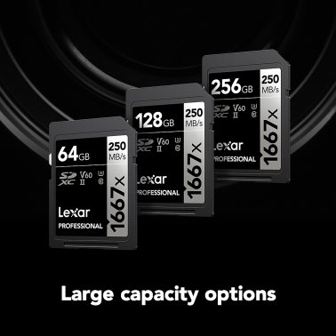 Lexar® Professional SILVER Series 1667x SDXC™ UHS-II Card (128 GB)
