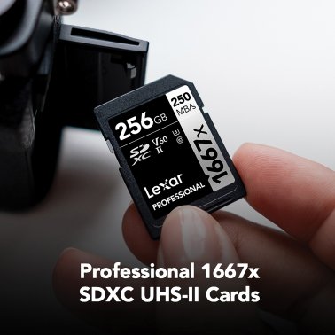 Lexar® Professional SILVER Series 1667x SDXC™ UHS-II Card (256 GB)