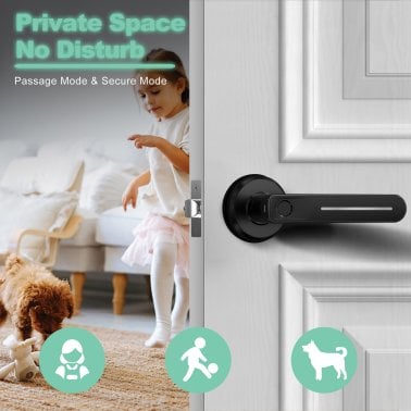 Geek Smart® GeekTale Smart Fingerprint Door Lock with Lever, B01 (Matte Black)