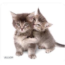 Allsop® NatureSmart™ Mouse Pad (Kittens)