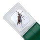 CARSON® Kids BugView™ Magnifier and Quick-Release Bug-Catching Tool