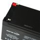 Bright Way Group® BWG 12120 F1 Sealed-Lead Acid Battery