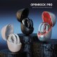 OpenRock® Pro Open-Ear Bluetooth® Air-Conduction Sport Earbuds with Microphone and Charging Case, A-BB01 (Silver)