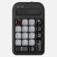 Azio IZO Wireless Numeric Keypad and Calculator for Mac® and PC Laptops, Backlit (Black Willow)