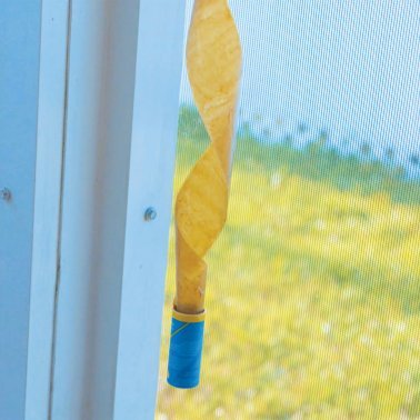 Raid® Fly Ribbon, 10 pk