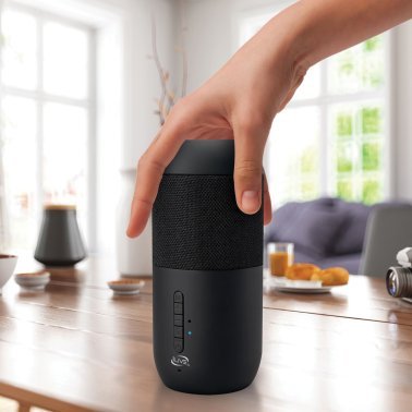 iLive Electronics™ ISBW240BDL Bluetooth® Indoor and Outdoor Waterproof Speakers with Removable Stakes, 2 Count