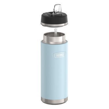 Thermos® Icon™ 32-Oz. Stainless Steel Water Bottle with Straw Lid (Glacier)