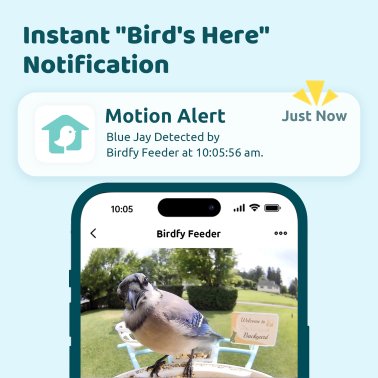 Birdfy® Feeder 1 Smart Bird Feeder with Camera, Solar Panel, and Free AI Lifetime Subscription