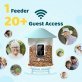 Birdfy® Feeder 1 Smart Bird Feeder with Camera, Solar Panel, and Free AI Lifetime Subscription